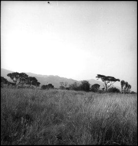 CH-NB - Belgisch-Kongo, Eduardsee- Landschaft - Annemarie Schwarzenbach - SLA-Schwarzenbach-A-5-25-217