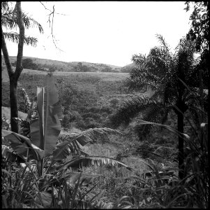 CH-NB - Belgisch-Kongo, Thysville (Mbanza Ngungu)- Landschaft - Annemarie Schwarzenbach - SLA-Schwarzenbach-A-5-26-015