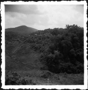 CH-NB - Belgisch-Kongo, Parc National Albert (Parc National des Virunga)- Landschaft - Annemarie Schwarzenbach - SLA-Schwarzenbach-A-5-25-202