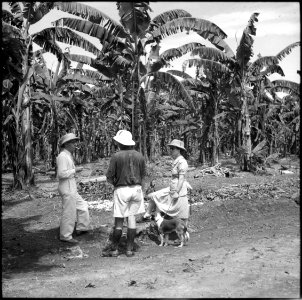 CH-NB - Belgisch-Kongo, Thysville (Mbanza Ngungu)- Landschaft - Annemarie Schwarzenbach - SLA-Schwarzenbach-A-5-26-020