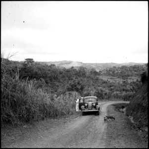CH-NB - Belgisch-Kongo, Thysville (Mbanza Ngungu)- Landschaft - Annemarie Schwarzenbach - SLA-Schwarzenbach-A-5-26-024