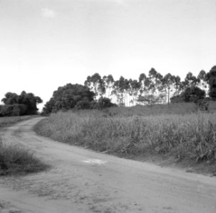 CH-NB - Belgisch-Kongo, Thysville (Mbanza Ngungu)- Landschaft - Annemarie Schwarzenbach - SLA-Schwarzenbach-A-5-26-028