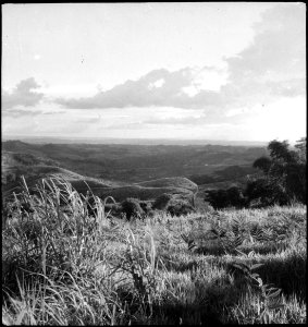 CH-NB - Belgisch-Kongo, Thysville (Mbanza Ngungu)- Landschaft - Annemarie Schwarzenbach - SLA-Schwarzenbach-A-5-26-032