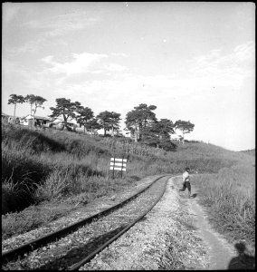 CH-NB - Belgisch-Kongo, Thysville (Mbanza Ngungu)- Landschaft - Annemarie Schwarzenbach - SLA-Schwarzenbach-A-5-26-036