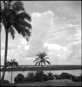 CH-NB - Belgisch-Kongo, Fluss Kongo- Landschaft - Annemarie Schwarzenbach - SLA-Schwarzenbach-A-5-25-055