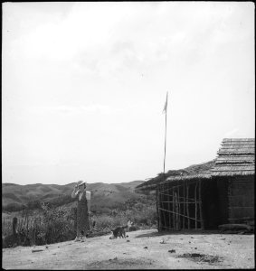 CH-NB - Belgisch-Kongo, Thysville (Mbanza Ngungu)- Landschaft - Annemarie Schwarzenbach - SLA-Schwarzenbach-A-5-26-074