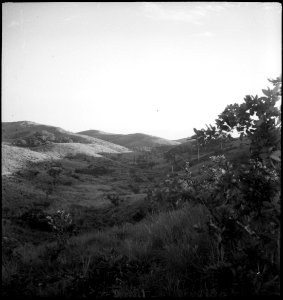 CH-NB - Belgisch-Kongo, Thysville (Mbanza Ngungu)- Landschaft - Annemarie Schwarzenbach - SLA-Schwarzenbach-A-5-26-025