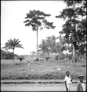 CH-NB - Belgisch-Kongo- Landschaft (Lokalisierung unsicher) - Annemarie Schwarzenbach - SLA-Schwarzenbach-A-5-25-164