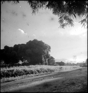 CH-NB - Belgisch-Kongo, Thysville (Mbanza Ngungu)- Landschaft - Annemarie Schwarzenbach - SLA-Schwarzenbach-A-5-26-026