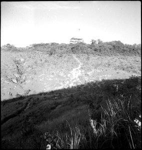 CH-NB - Belgisch-Kongo, Thysville (Mbanza Ngungu)- Landschaft - Annemarie Schwarzenbach - SLA-Schwarzenbach-A-5-26-034