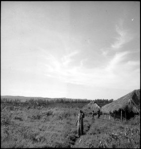 CH-NB - Belgisch-Kongo, Parc National Albert (Parc National des Virunga)- Siedlung - Annemarie Schwarzenbach - SLA-Schwarzenbach-A-5-25-204