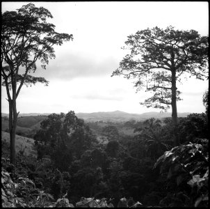 CH-NB - Belgisch-Kongo, Thysville (Mbanza Ngungu)- Landschaft - Annemarie Schwarzenbach - SLA-Schwarzenbach-A-5-26-014