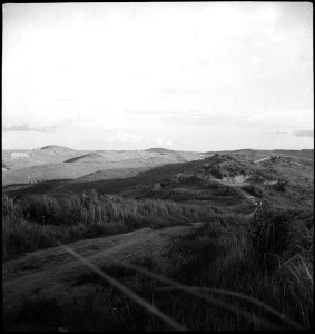 CH-NB - Belgisch-Kongo, Thysville (Mbanza Ngungu)- Landschaft - Annemarie Schwarzenbach - SLA-Schwarzenbach-A-5-26-031