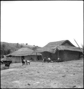 CH-NB - Belgisch-Kongo, Thysville (Mbanza Ngungu)- Landschaft - Annemarie Schwarzenbach - SLA-Schwarzenbach-A-5-26-069
