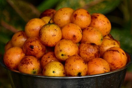 Vegetable agriculture nutrition
