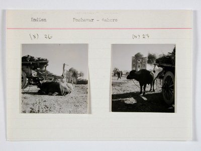 CH-NB - Britisch-Indien, zwischen Peshawar und Lahore- Landschaft - Annemarie Schwarzenbach - SLA-Schwarzenbach-A-5-22-030