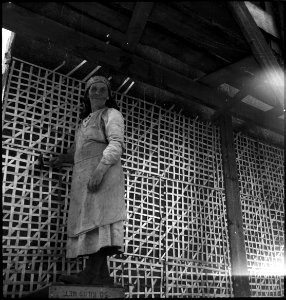 CH-NB - Estland, Valk-Walk (Valga)- Menschen - Annemarie Schwarzenbach - SLA-Schwarzenbach-A-5-16-133