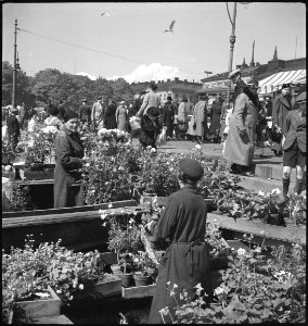 CH-NB - Finnland, Helsinki- Markt - Annemarie Schwarzenbach - SLA-Schwarzenbach-A-5-17-004