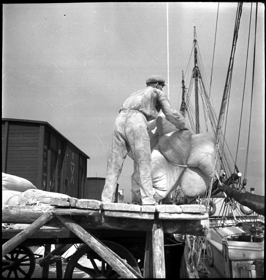 CH-NB - Estland, Tallinn (Reval)- Hafenarbeiter - Annemarie Schwarzenbach - SLA-Schwarzenbach-A-5-16-050