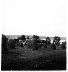 CH-NB - Finnland- Landschaft - Annemarie Schwarzenbach - SLA-Schwarzenbach-A-5-17-050