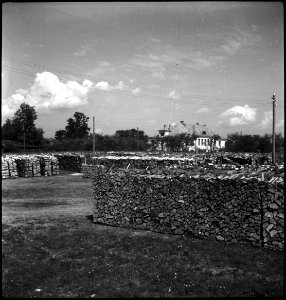 CH-NB - Estland, Valk-Walk (Valga)- Holz - Annemarie Schwarzenbach - SLA-Schwarzenbach-A-5-16-126 photo