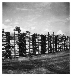 CH-NB - Estland, Valk-Walk (Valga)- Holz - Annemarie Schwarzenbach - SLA-Schwarzenbach-A-5-16-128