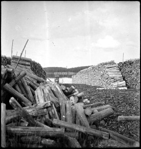 CH-NB - Finnland- Holz - Annemarie Schwarzenbach - SLA-Schwarzenbach-A-5-17-054