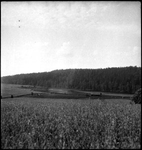 CH-NB - Finnland- Landschaft - Annemarie Schwarzenbach - SLA-Schwarzenbach-A-5-17-049