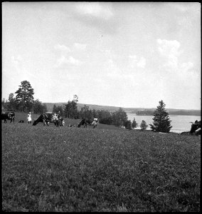 CH-NB - Finnland- Landschaft - Annemarie Schwarzenbach - SLA-Schwarzenbach-A-5-17-066