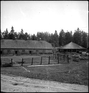 CH-NB - Finnland, Jäminkipohja- Gutshof Pekkala - Annemarie Schwarzenbach - SLA-Schwarzenbach-A-5-17-069