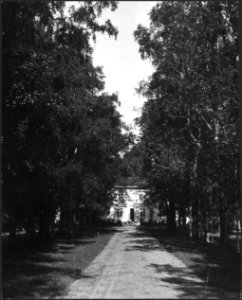 CH-NB - Finnland, Jäminkipohja- Gutshof Pekkala - Annemarie Schwarzenbach - SLA-Schwarzenbach-A-5-17-073