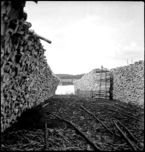 CH-NB - Finnland- Holz - Annemarie Schwarzenbach - SLA-Schwarzenbach-A-5-17-056
