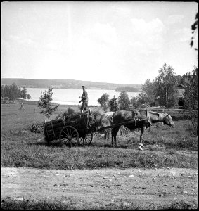 CH-NB - Finnland- Landschaft - Annemarie Schwarzenbach - SLA-Schwarzenbach-A-5-17-068