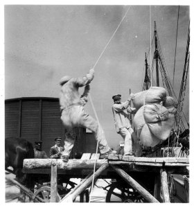 CH-NB - Estland, Tallinn (Reval)- Hafenarbeiter - Annemarie Schwarzenbach - SLA-Schwarzenbach-A-5-16-045