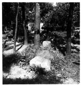 CH-NB - Estland, Valk-Walk (Valga)- Friedhof - Annemarie Schwarzenbach - SLA-Schwarzenbach-A-5-16-139 photo