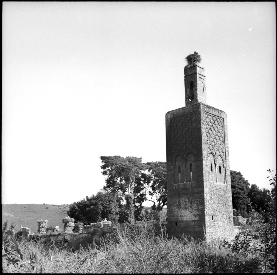 CH-NB - Französisch-Marokko, Rabat- Grabstätte Chellah - Annemarie Schwarzenbach - SLA-Schwarzenbach-A-5-26-142