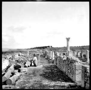 CH-NB - Französisch-Marokko, Volubilis- Ruinen - Annemarie Schwarzenbach - SLA-Schwarzenbach-A-5-26-168