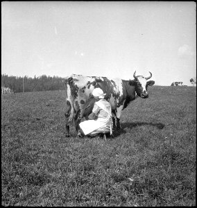 CH-NB - Finnland- Landschaft - Annemarie Schwarzenbach - SLA-Schwarzenbach-A-5-17-065