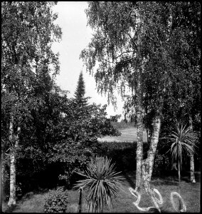 CH-NB - Finnland- Landschaft - Annemarie Schwarzenbach - SLA-Schwarzenbach-A-5-17-077