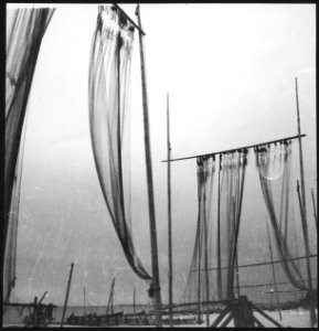 CH-NB - Freie Stadt Danzig, Danzig (Gdansk)- Fischernetze - Annemarie Schwarzenbach - SLA-Schwarzenbach-A-5-13-073