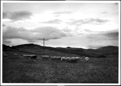 CH-NB - Georgien- Landschaft - Annemarie Schwarzenbach - SLA-Schwarzenbach-A-5-04-264