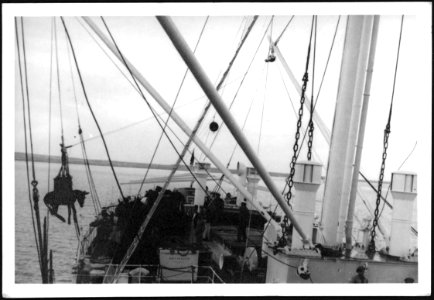 CH-NB - Gerusalemme (Schiffsname)- Schiff - Annemarie Schwarzenbach - SLA-Schwarzenbach-A-5-02-258