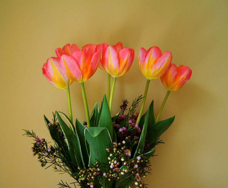 Tulip bouquet yellow-pink flowers cut flowers