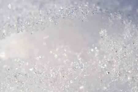 Background christmas frozen