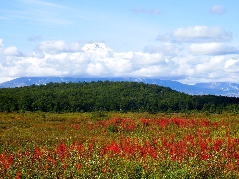 Clouds forest meadow