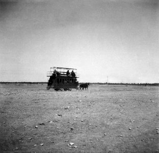 CH-NB - Irak, Nejaf (Nedjef)- Rösslitram - Annemarie Schwarzenbach - SLA-Schwarzenbach-A-5-03-159