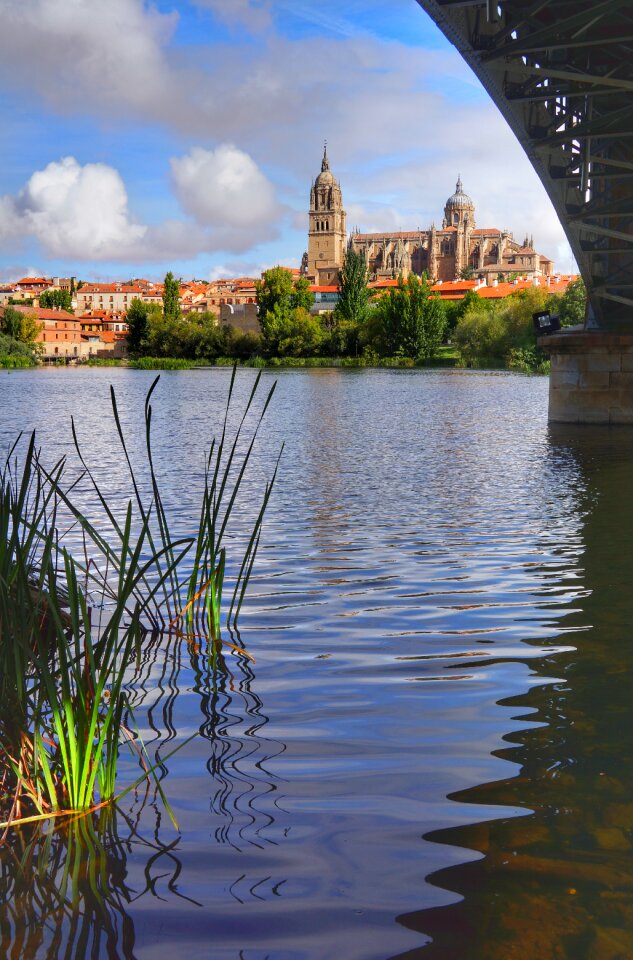 Salamanca cathedral river