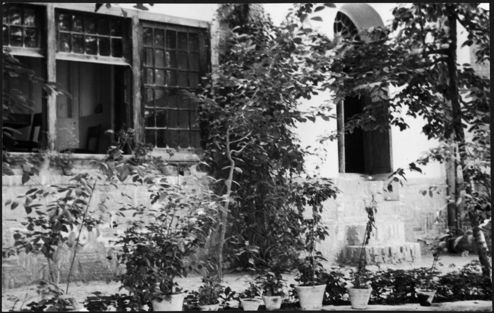 CH-NB - Iran, Teheran (Tehran)- Gärten - Annemarie Schwarzenbach - SLA-Schwarzenbach-A-5-19-025