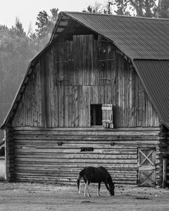 Rural scenic environment