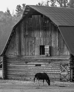 Rural scenic environment photo